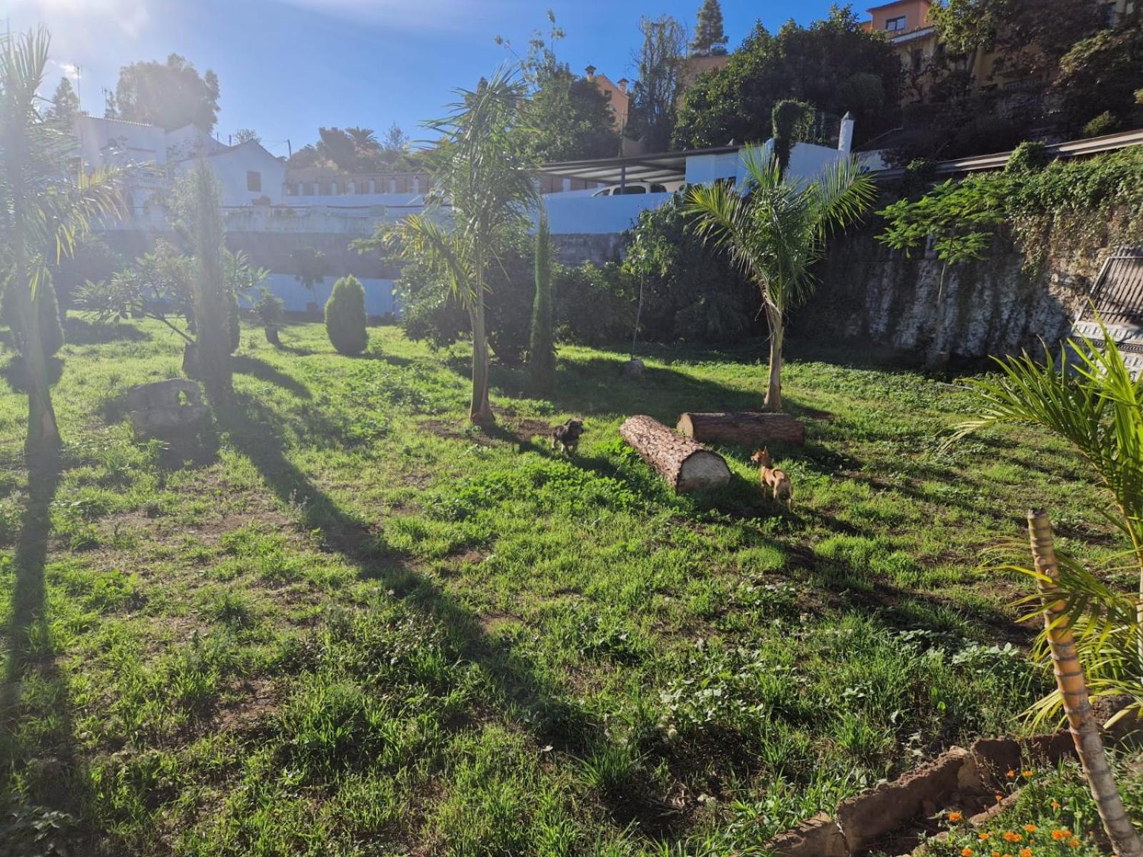 Casa Con Piscina, High-Speed Wi-Fi Y Vistas Villa Santa Brígida Kültér fotó
